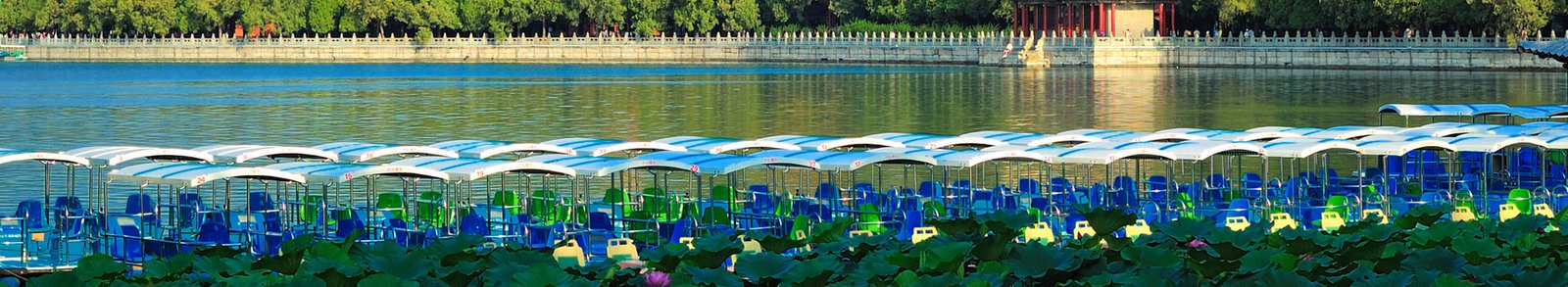 Your Cruise Counselor By Smart Traveler